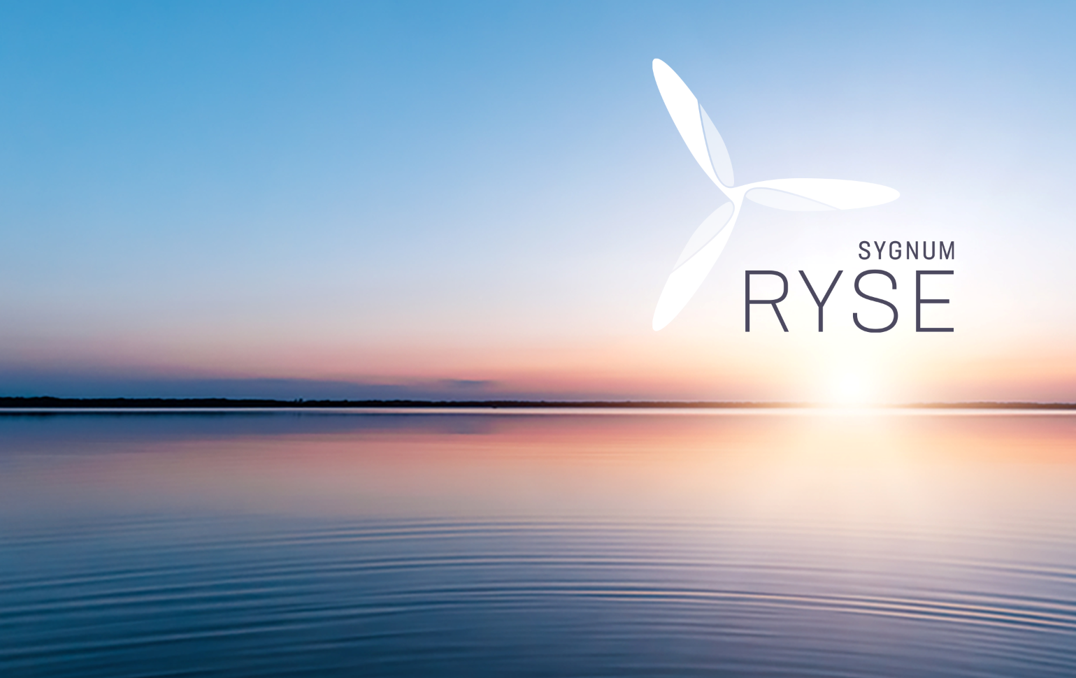 Helping crypto start-ups RYSE